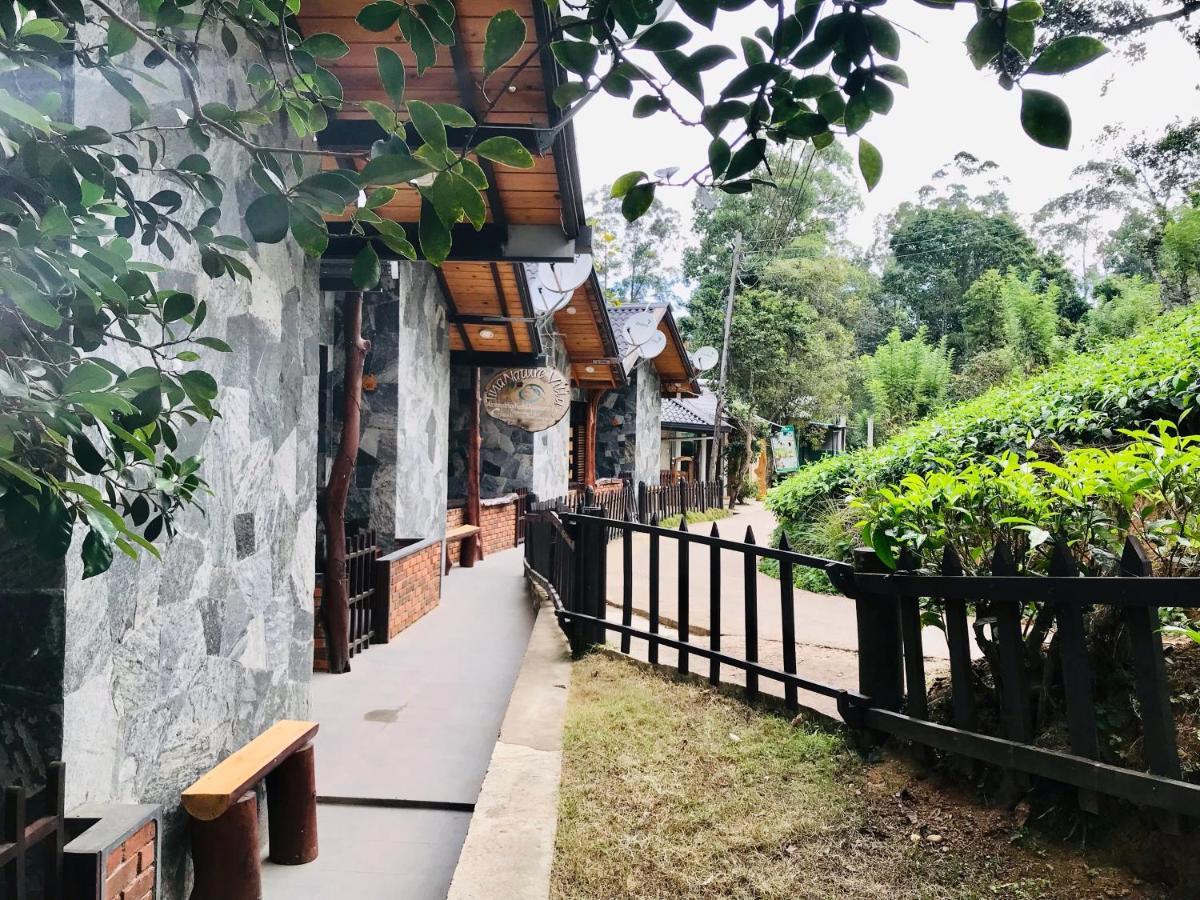 Tina Nature Villa Ella Bagian luar foto