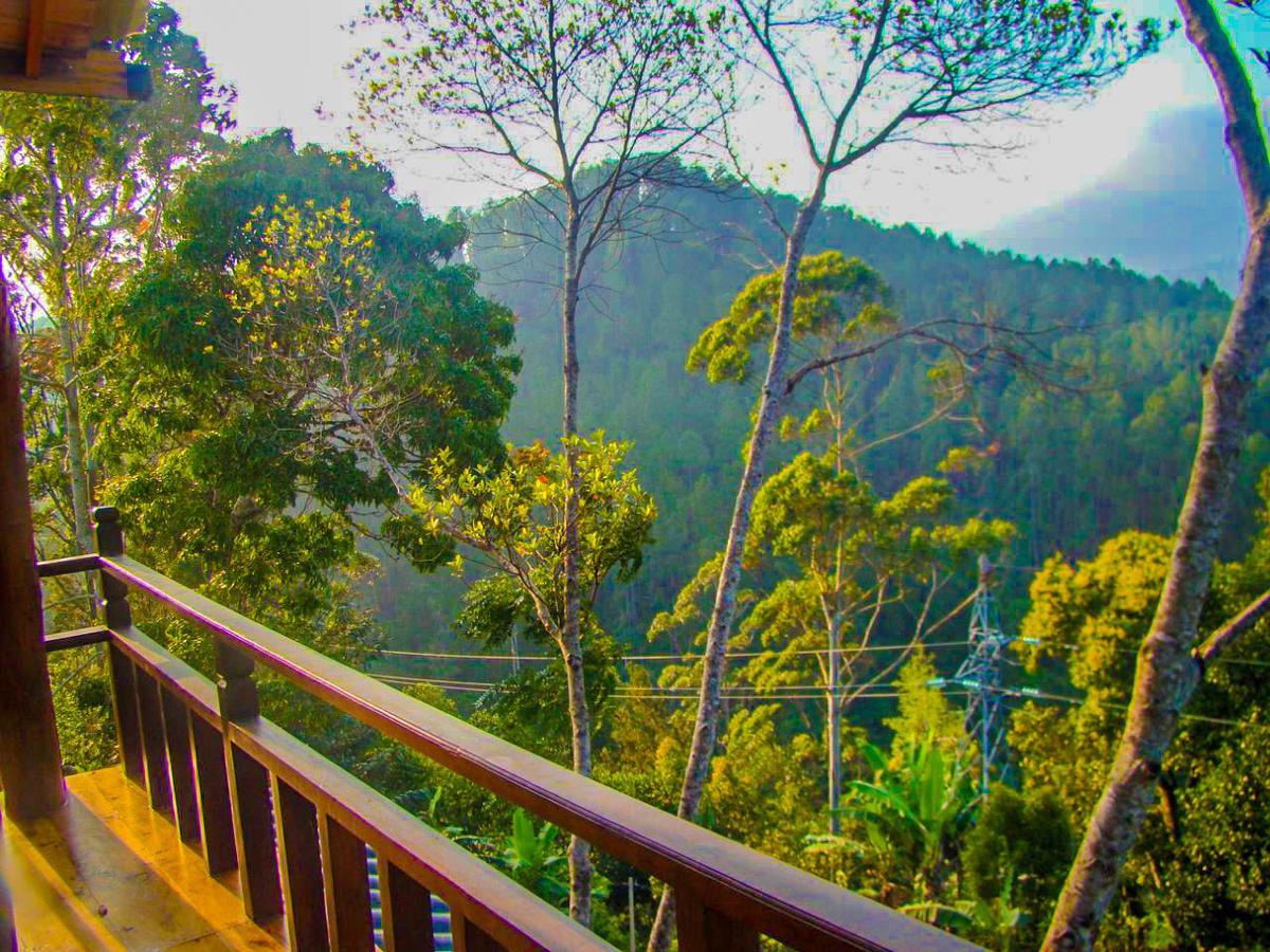 Tina Nature Villa Ella Bagian luar foto